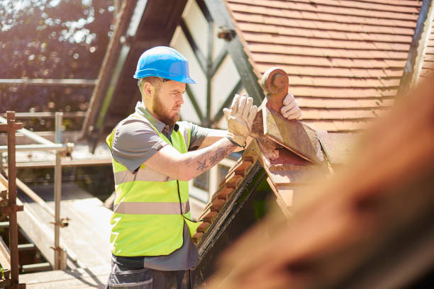 Best Metal Roofing Contractor  in Poplarville, MS